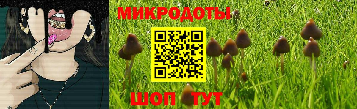 Псилоцибиновые грибы MAGIC MUSHROOMS  Вход с VPN  Кимовск 